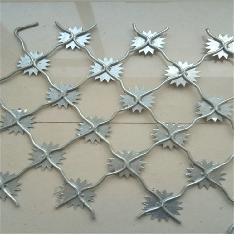 梅花刺隔離網案例展示